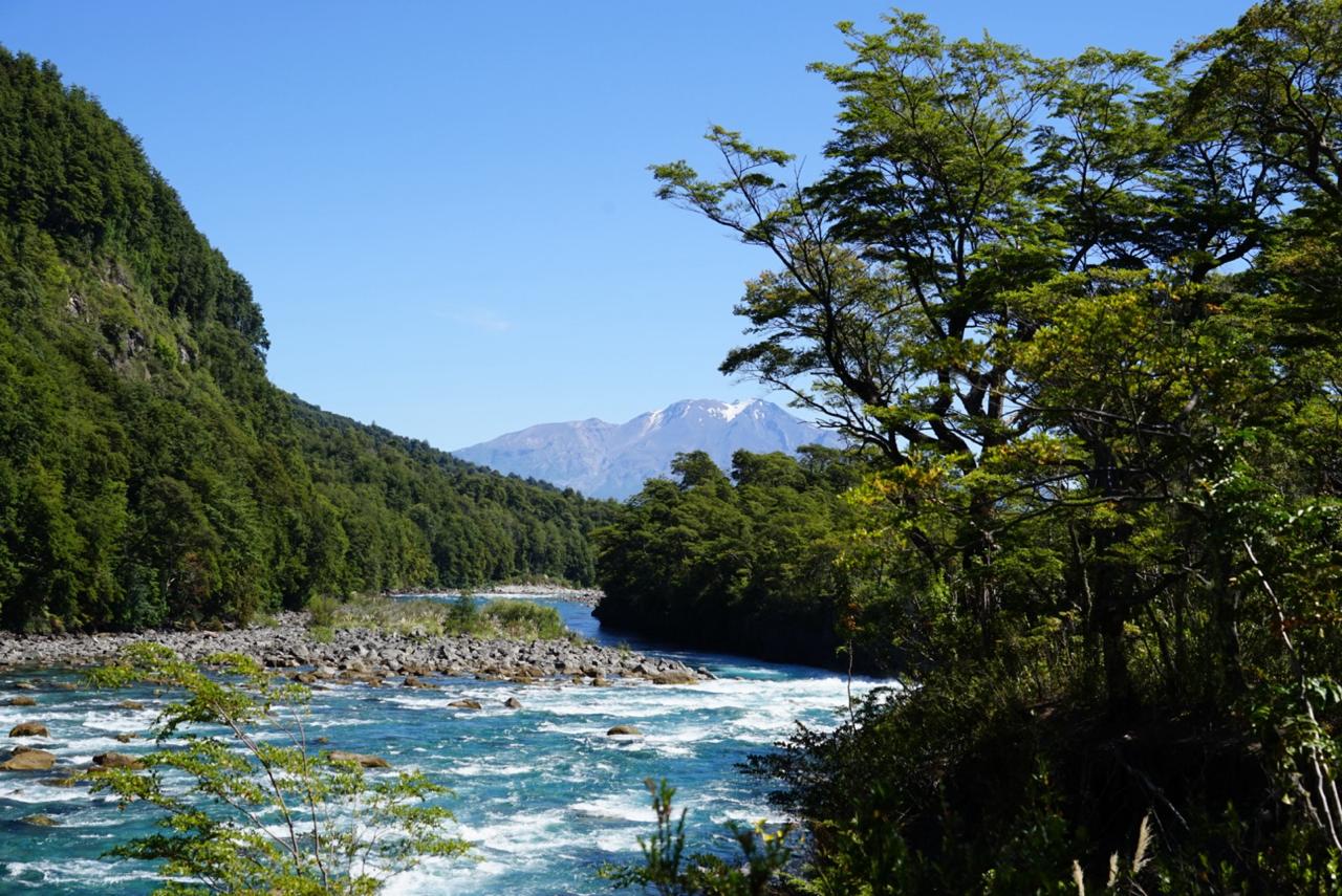 Paisaje de Los Lagos
